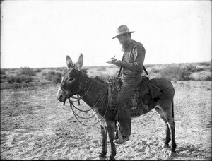 Doctor George Wharton James riding a burro on a trip to the Colorado River, ca.1900