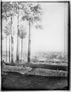 Grand view of the Grand Canyon from the Bright Angel Hotel, 1900-1930