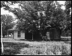 An exterior view of a one-story house sitting behind a large tree