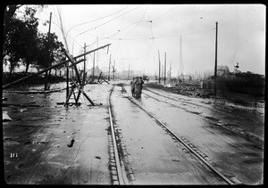 Broken wires on mission street, San Francisco, 1906