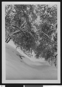 Close-up view of a snow-covered mountain pass, possibly in Lost Bear Meadow