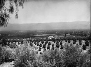 Redlands, view from Smiley Heights, ca.1900