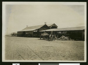 Cantaloupe shed near El Centro, ca.1910