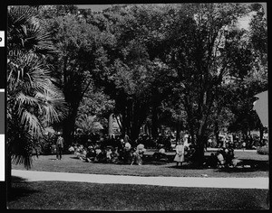 People sitting in the shade of large trees in Pershing Square, Los Angeles, ca.1900-1909