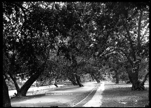 "The door through the sycamores" in Santa Monica Canyon, ca.1910