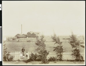 Kakuka sugar mill in Hawaii