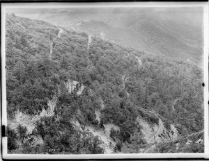 Mount Lowe Railway serpentine track moving through trees, showing greater detail