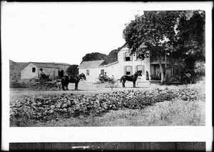 Exterior view of an unidentified old ranch house, ca.1887