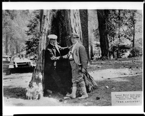 Two Sunset Club members posed in front of a pine tree, May 24, 1911