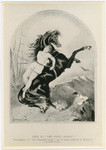 Tied to "The Fiery Steed", frontispiece of "The Mazeppa Galop," one of many tribues to Menken's London boom