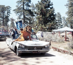 Man in lion costume on convertible in Bikes Cycle Circus of the