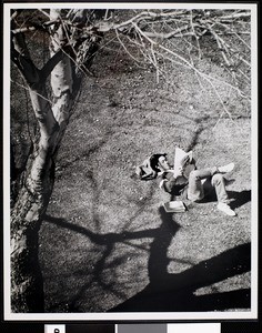 Campus scenes: studying in Alumni Memorial Park, USC, ca. 1977