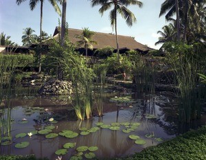 Hyatt Hotel, Bali, Indonesia, 1979