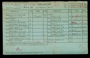 WPA block face card for household census of 20th, 21st, Central Streets, in Los Angeles