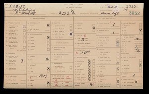 WPA household census for 2133 E 2 ST, Los Angeles