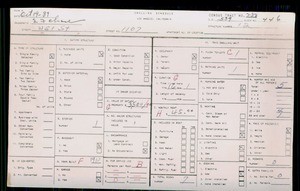 WPA household census for 1107 W 51ST STREET, Los Angeles County