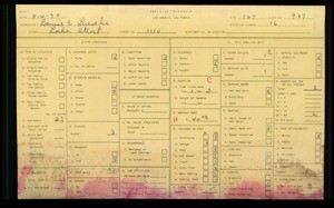 WPA household census for 1110 S LAKE STREET, Los Angeles