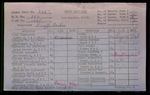 WPA block face card for household census of 81st, Normandie, 82nd Streets, in Los Angeles County