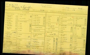 WPA household census for 1110 S LAKE STREET, Los Angeles