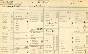 WPA household census for 1029 S GAGE