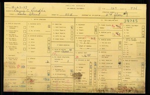 WPA household census for 1115 S LAKE STREET, Los Angeles