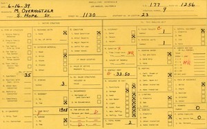 WPA household census for 1130 S HOPE, Los Angeles