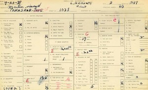 WPA household census for 1038 S TOWNSEND