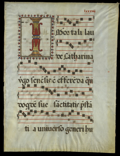 Antiphonary (Feast of St. Catherine) manuscript leaf