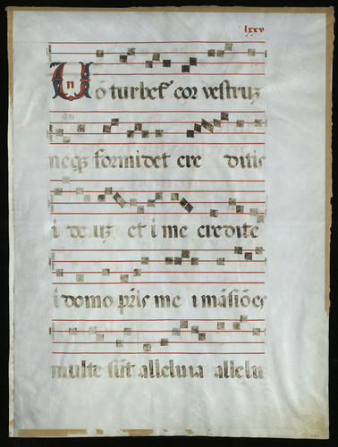 Antiphonary (Feast of St. Antonio) manuscript leaf