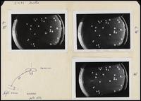 UC Berkeley Virus Lab: assorted photos and slides (many unidentified) (2 items)