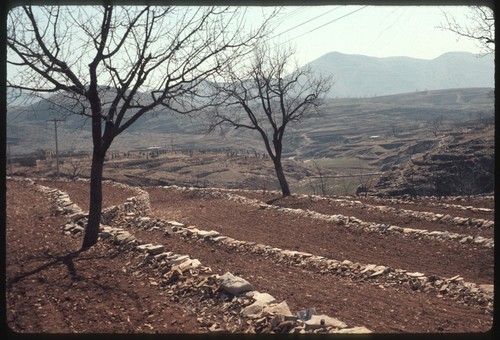 Terracing