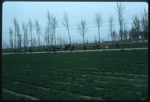 Rural Commune Farmland