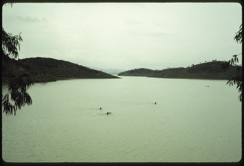 Swimming in the Lake