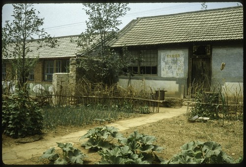 Villager's house