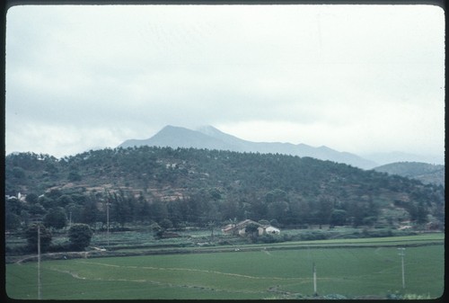 Mountain and Field