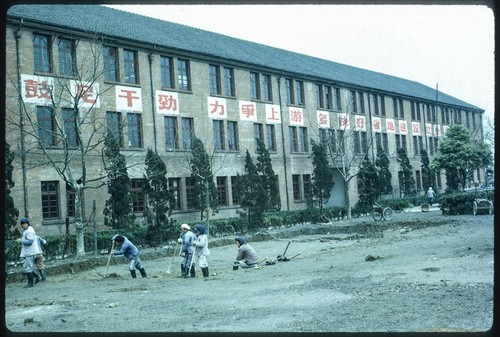 Shanghai Shipyard