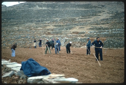 Labor in the Field