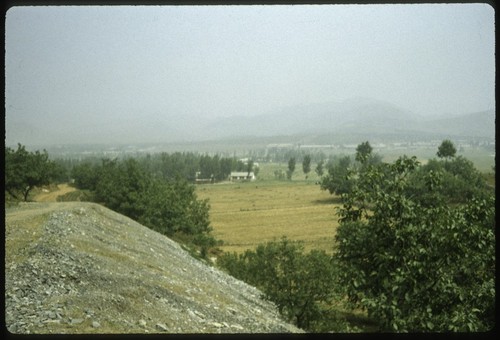 Mountains and Fields