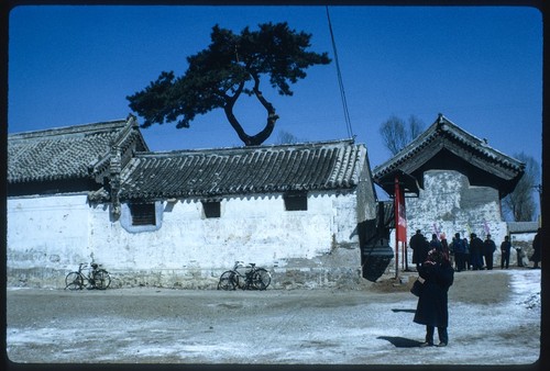 Shashiyu