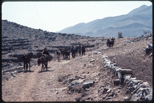 Rural Transportation