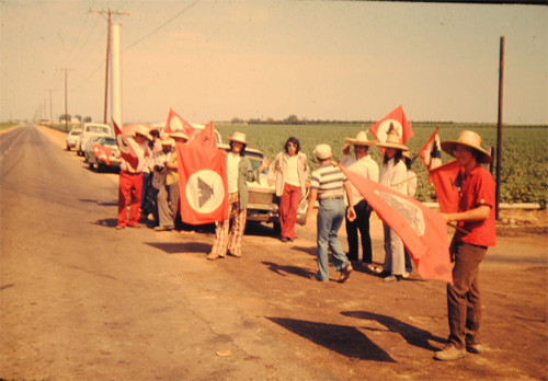 Picket lines during the 1973 Strike