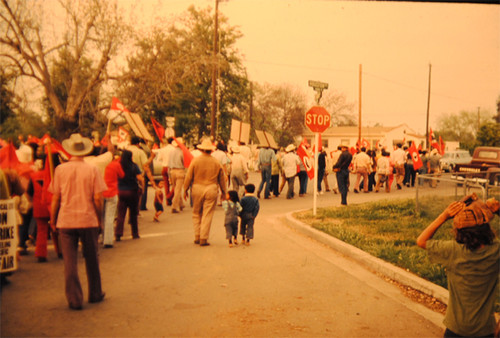 UFW March during the 1973 Strike (Image 2)