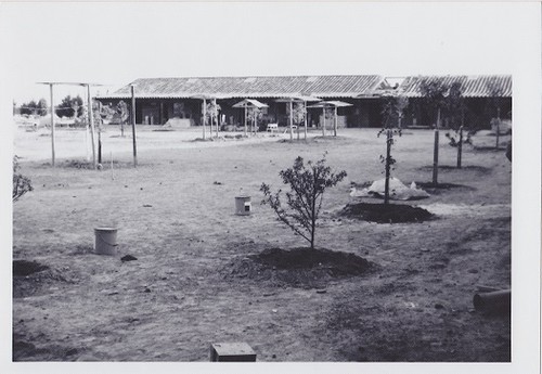 Agbayani Village Courtard Construction and tree planting