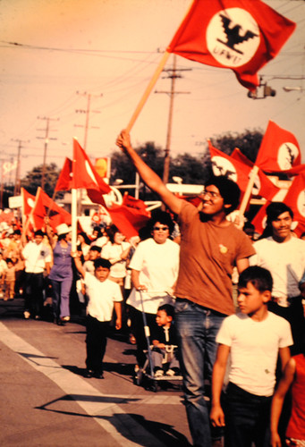 1973 UFW Strike: Picket Lines