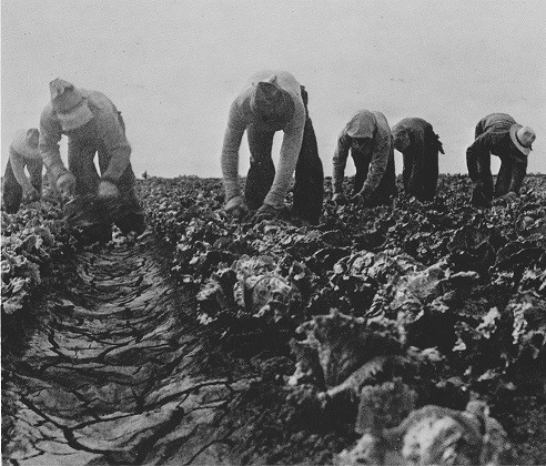 Filipino migrant workers in Salinas