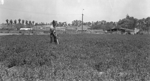 Student working in field on Sherman school farm