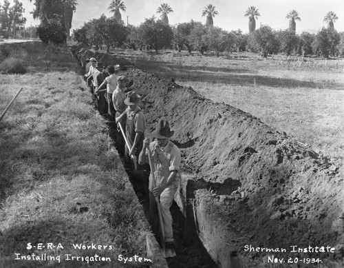 Workers installing irrigation system