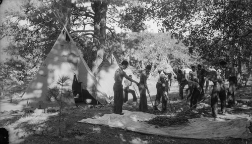 Students clear brush at camp ground