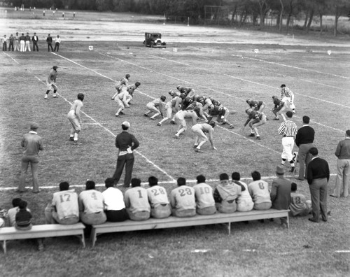 Coaches and team members watching football game