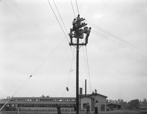 Student electricians